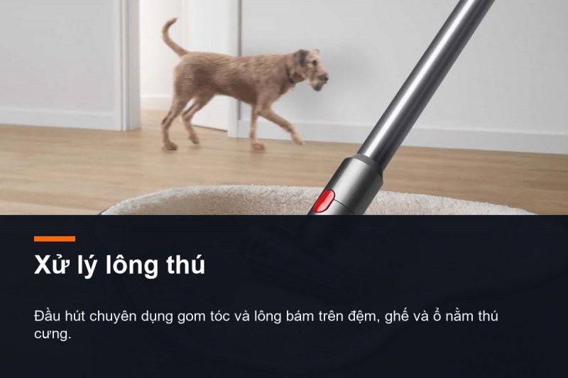 Dyson V8 Absolute - Lập một tuyến 40 phút