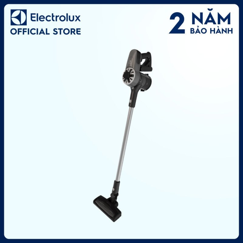 Ống mềm và chổi dài của Electrolux EFP31315