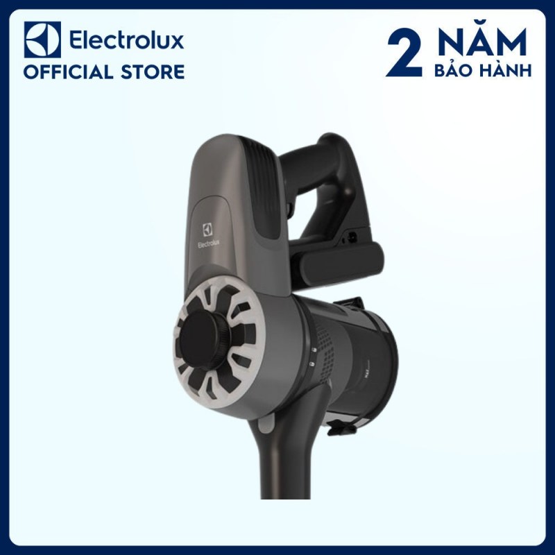 Bộ lọc hai lớp và giá treo Electrolux EFP31315