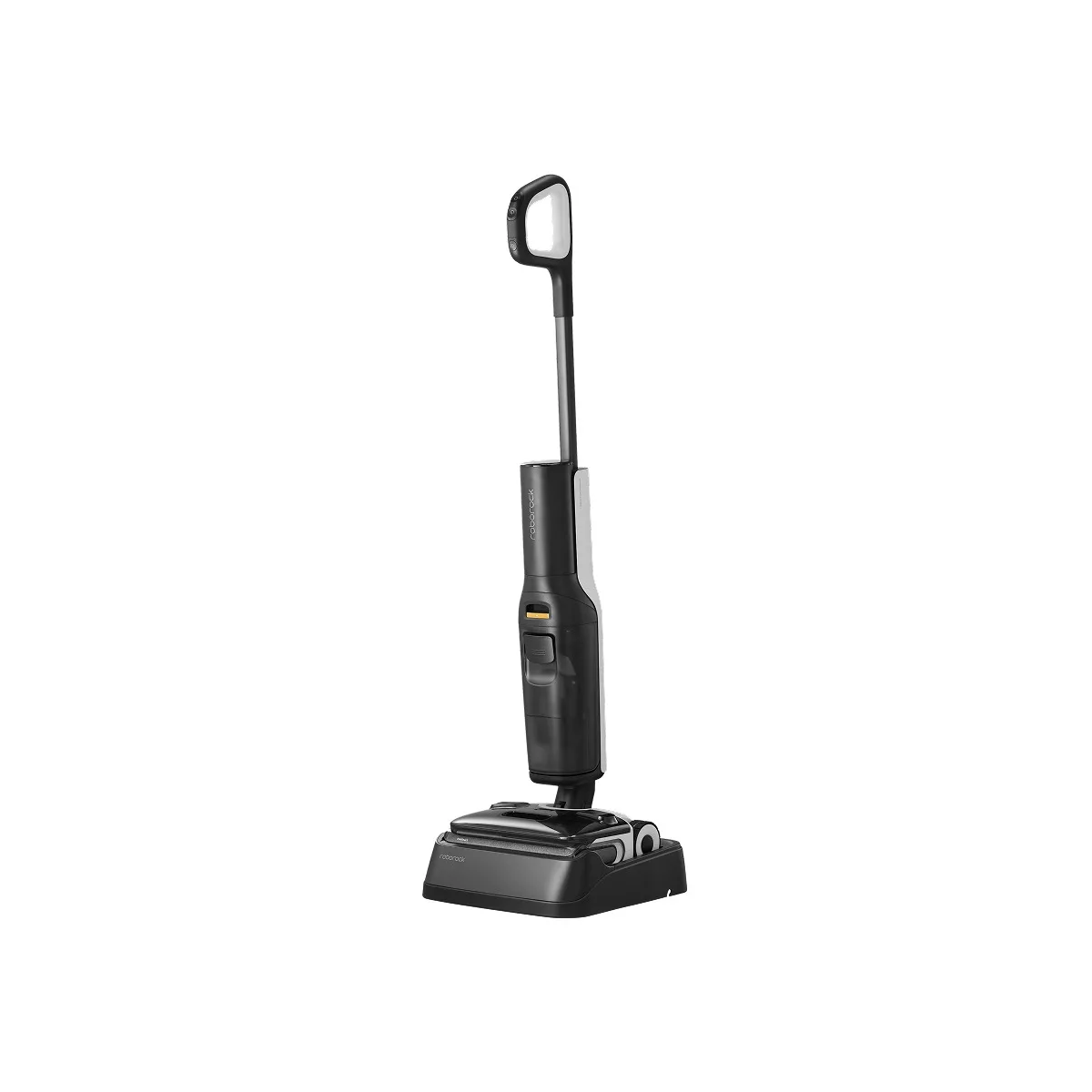 Roborock F25 ACE