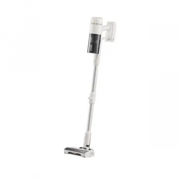 Roborock H60